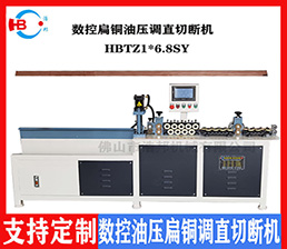 <span style='color:#00FFFF'>扁線(xiàn)—1扁銅線(xiàn)伺服調(diào)直定長(zhǎng)切斷機(jī)</span>