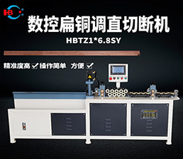 <span style='color:#00FFFF'>扁線(xiàn)－扁銅線(xiàn)伺服調(diào)直定長(zhǎng)切斷機(jī)</span>
